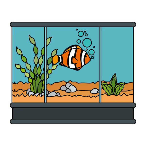 Quadratisches Aquarium mit bunten Fischen — Stockvektor