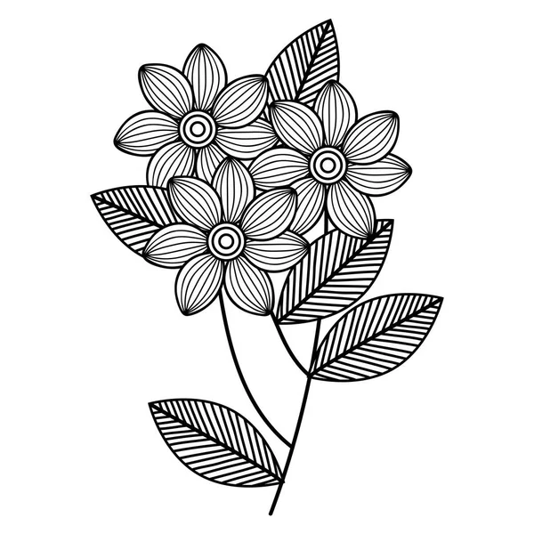 Красивые цветы, рисующие монохромный — стоковый вектор