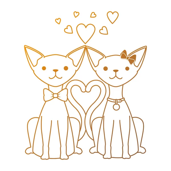 Mignon couple de chats mascottes avec des personnages de coeur — Image vectorielle