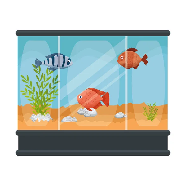 Akwarium kwadratowe z kolorami ryb — Wektor stockowy