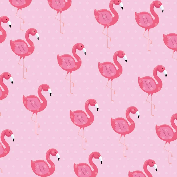 Aves flamencas tropicales fondo animal — Vector de stock