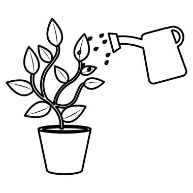 Yağmurlama pot ile bitki