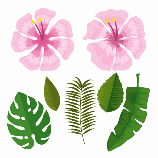Conjunto de flores tropicais com folhas de ramos —  Vetores de Stock