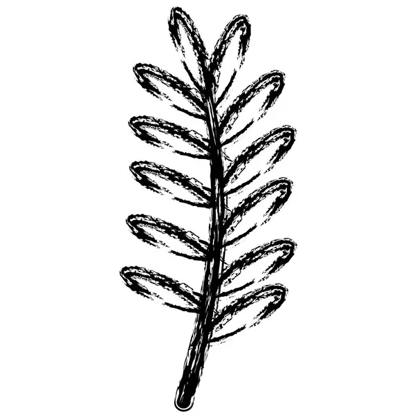 Zweig mit Blättern dekoratives Symbol — Stockvektor