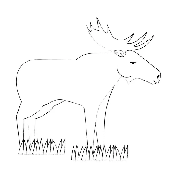Canadian elk wild icon — Stock Vector