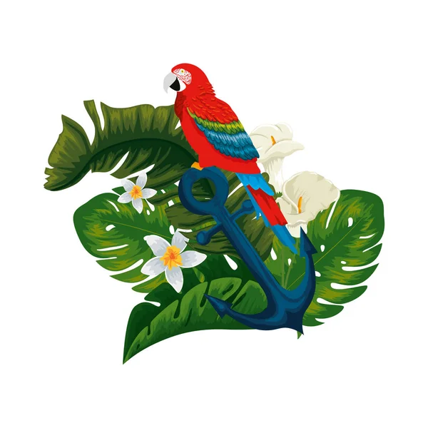 Tropisk och exotisk papegoja i ankare med blommig dekoration — Stock vektor