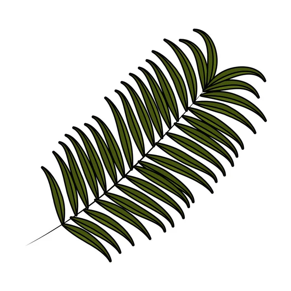 Tropical planta folha exótica — Vetor de Stock