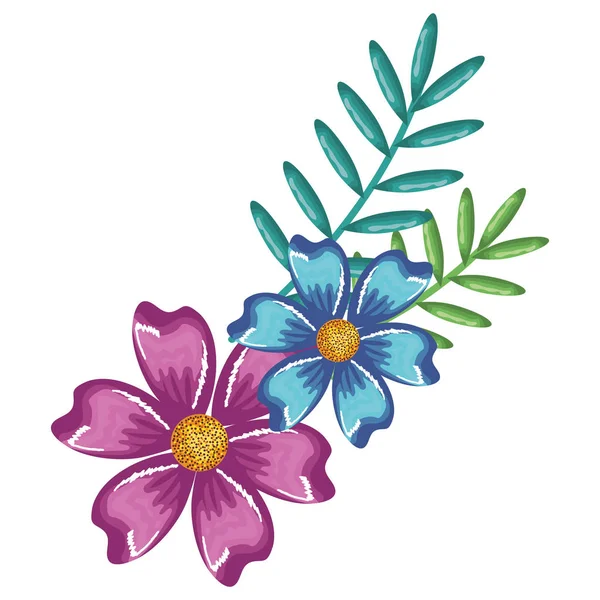 Bloemen en blaadjes van decoratieve tuin — Stockvector