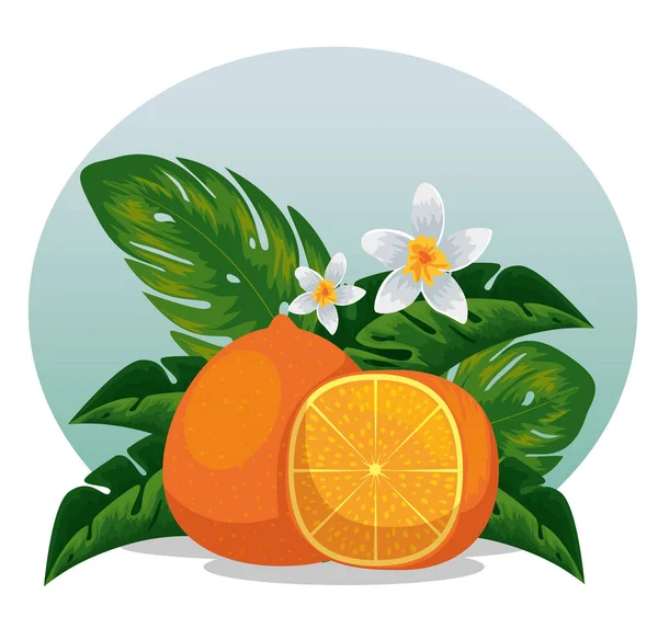 Εξωτικά πορτοκαλί φρούτα με εξωτικά φύλλα — Διανυσματικό Αρχείο