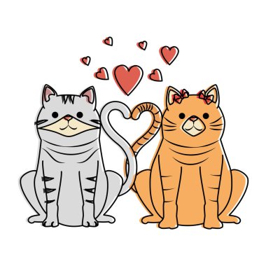 kalpleri karakterleri ile sevimli çift kedi maskotlar