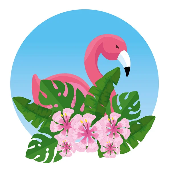 Flamboyant tropical aux fleurs et feuilles exotiques — Image vectorielle