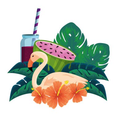 pot ve Flaman kuş ile karpuz suyu