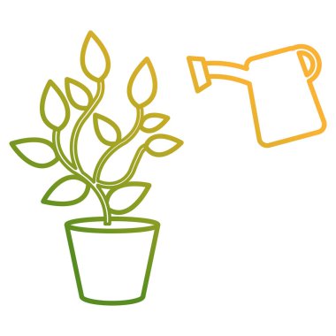 Yağmurlama pot ile bitki