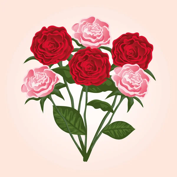 Rosas exóticas plantas con hojas de la naturaleza — Vector de stock