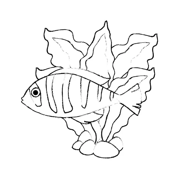 Cute ornamental fish with seaweed — Stock Vector