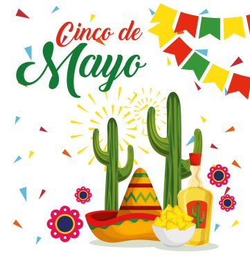 olay için kaktüs ve tekila ile Meksika şapka