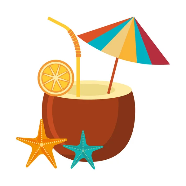 Coconut cocktail with starfish — Stock Vector