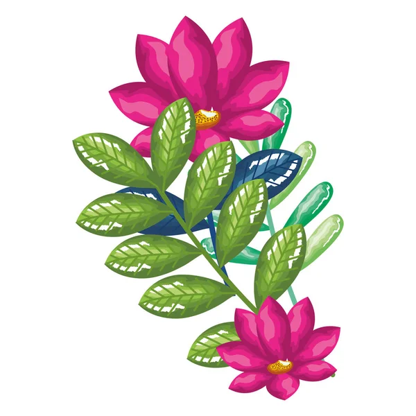 Flowers and leafs decorative icon — Stock Vector