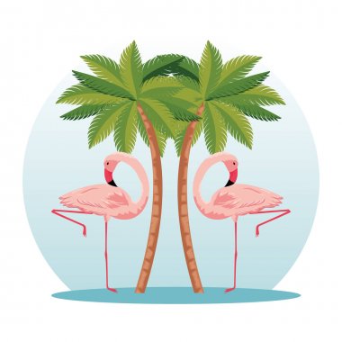 Doğa avuç içi ağaçları ile tropikal flamingolar