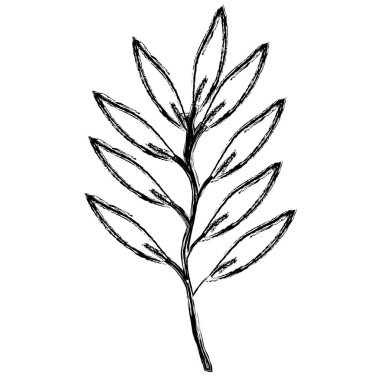 şube ile dekoratif simgesi yapraklar
