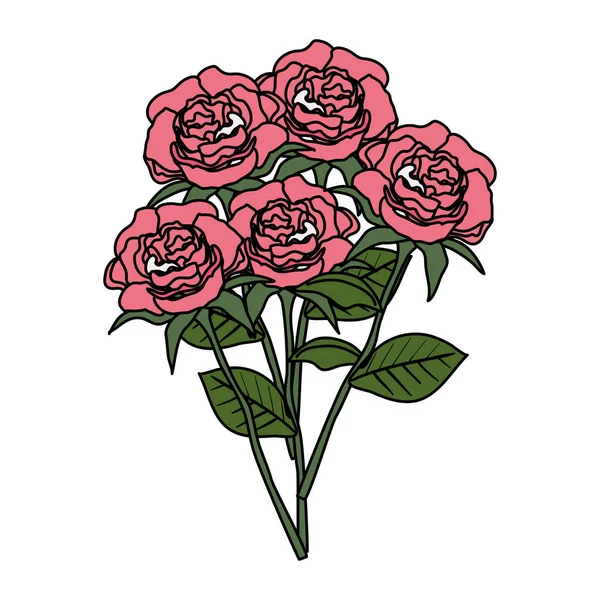 Красивые розы и листья украшения — стоковый вектор