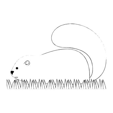 sevimli kanada marmot simgesi