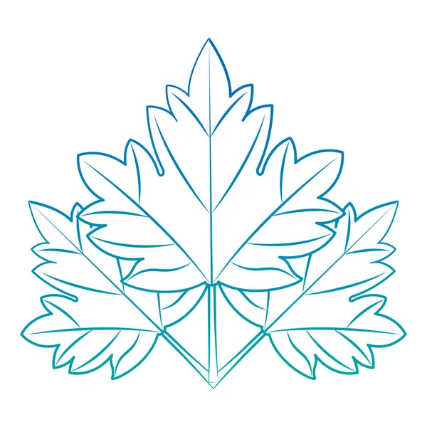 akçaağaç yaprağı amblemi simgesi