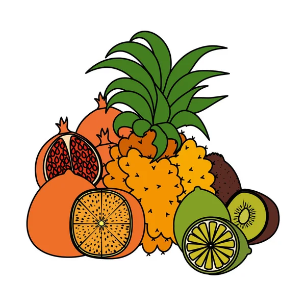 Grupo de frutas tropicales y frescas — Vector de stock