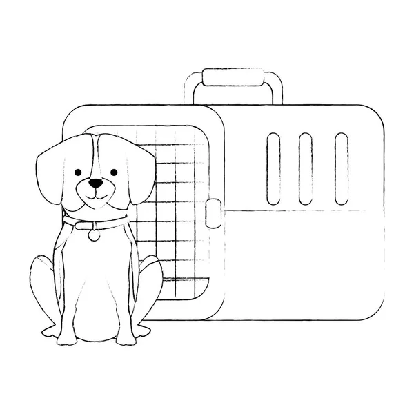 Σκύλος με κουτί μεταφορά μασκότ — Διανυσματικό Αρχείο