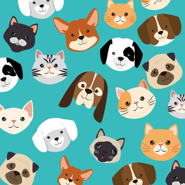 Niedliche Katzen und Hunde Köpfe Muster Zeichen — Stockvektor