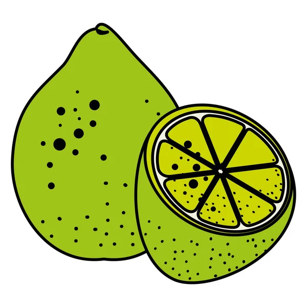 Limón medio fruta fresca saludable — Vector de stock