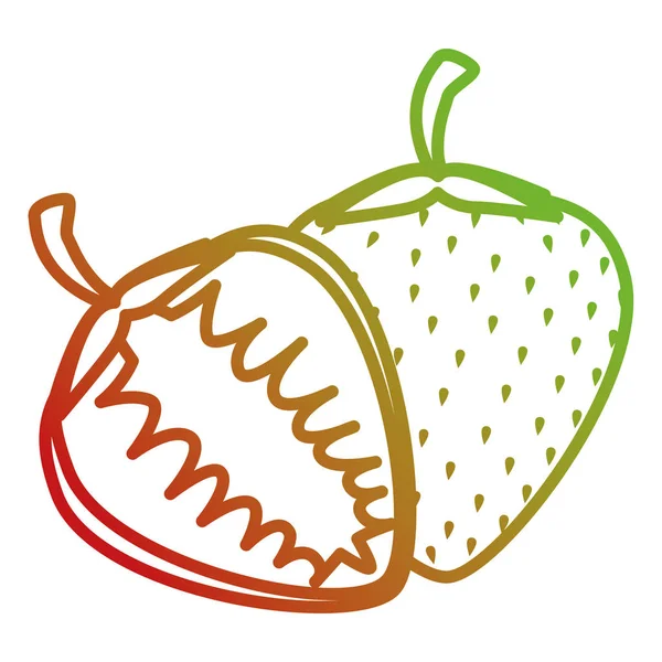Morango fruta fresca saudável — Vetor de Stock