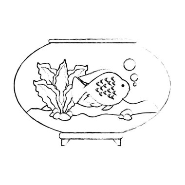 renkleri balık ile akvaryum kase