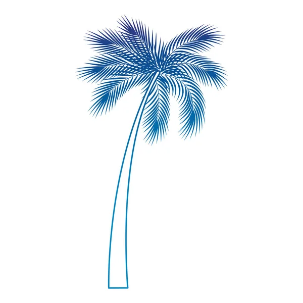 Fa palm természetes ikon — Stock Vector