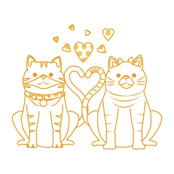 cute couple cats mascots with hearts characters