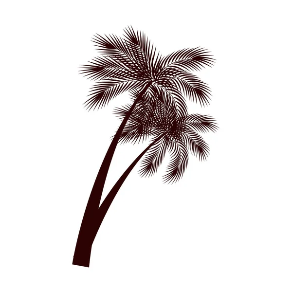 Palme alberi icona naturale — Vettoriale Stock