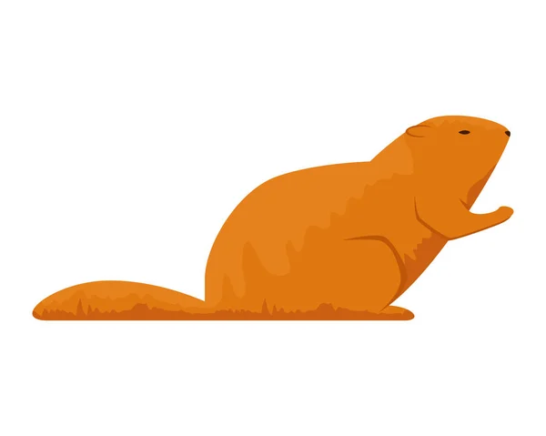 Aranyos Otter rágcsáló állat ikon — Stock Vector