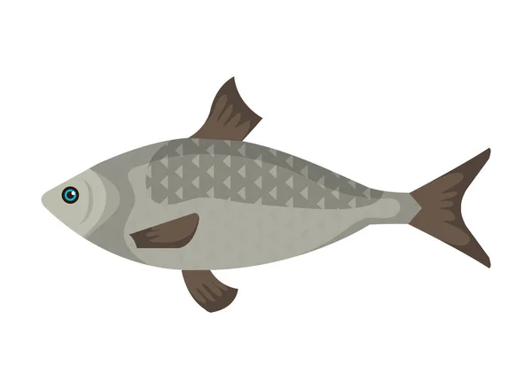 Sea fish animal icon vector illustration — Stock Vector
