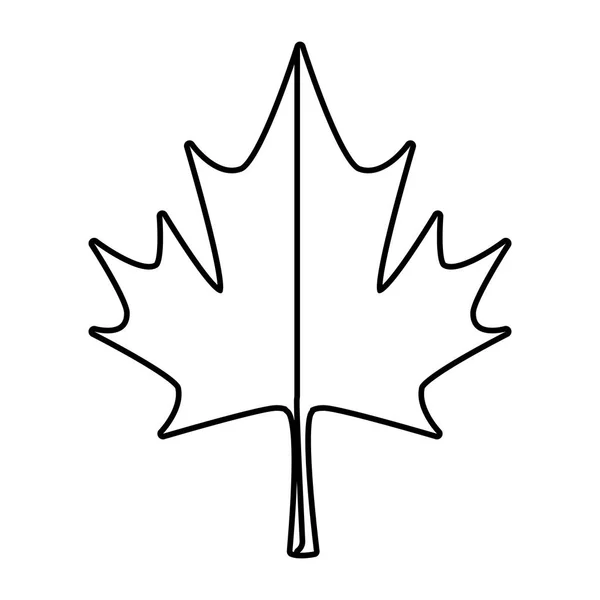 Ikona klon kanadyjski liść symbol — Wektor stockowy