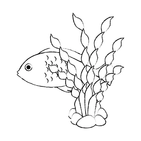 Ikan ornamental yang lucu dengan rumput laut - Stok Vektor