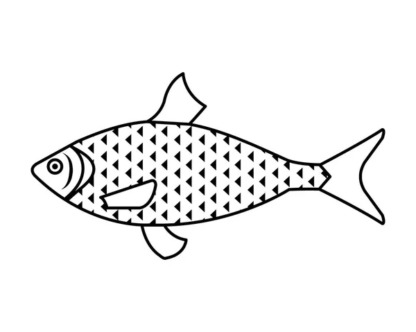 Poisson de mer icône animal illustration vectorielle — Image vectorielle