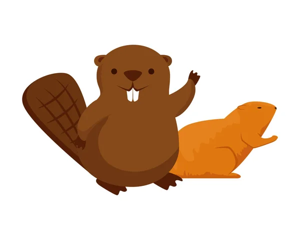 可爱的海狸和水母吉祥物 — 图库矢量图片