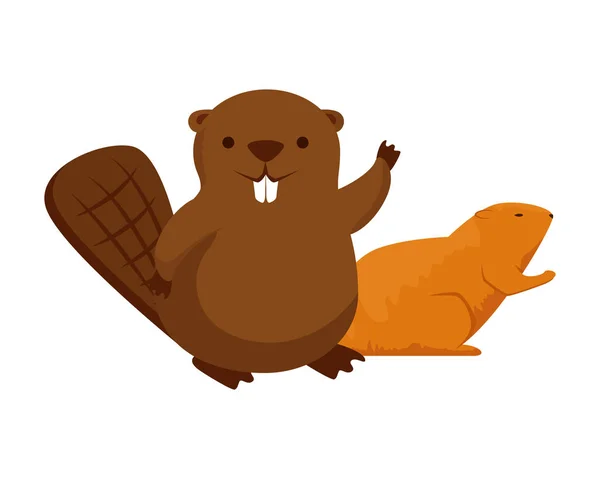 Mascottes mignonnes de castor et de loutre — Image vectorielle