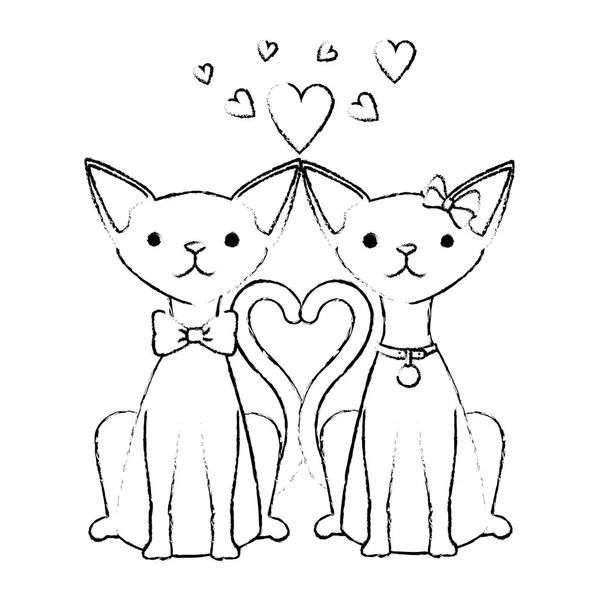 Carino coppia gatti mascotte con cuori personaggi — Vettoriale Stock