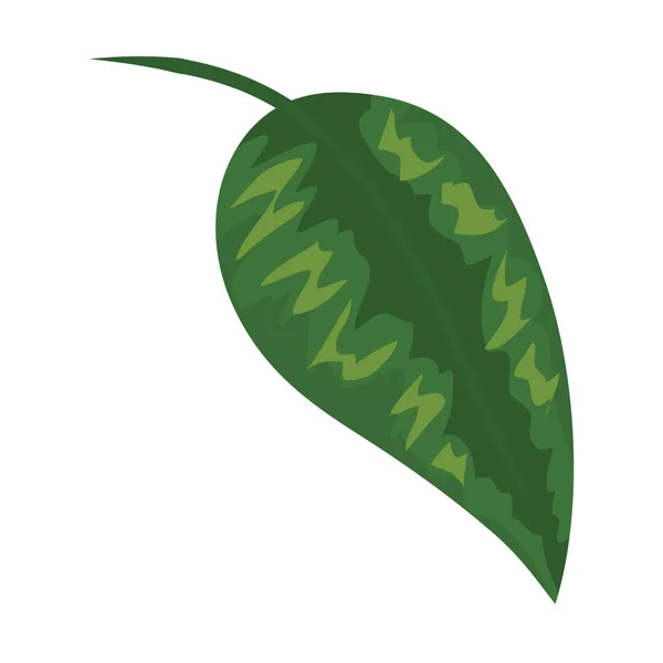 Ecology leaf plant nature icon — Stock Vector