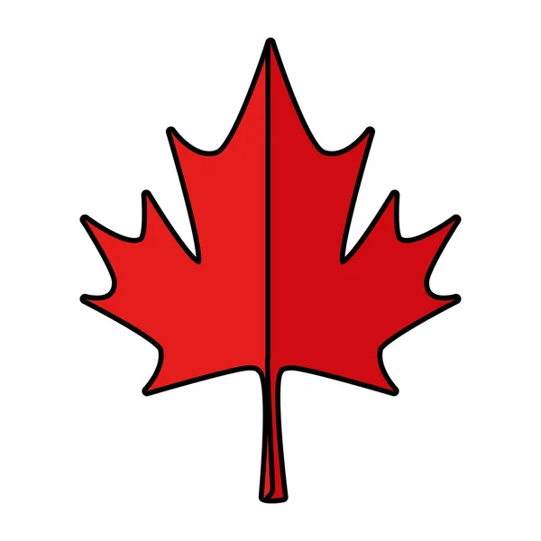 Hoja de arce símbolo canadiense icono — Vector de stock