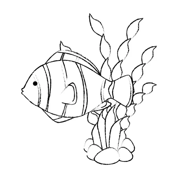 Mignon poisson d'ornement aux algues — Image vectorielle