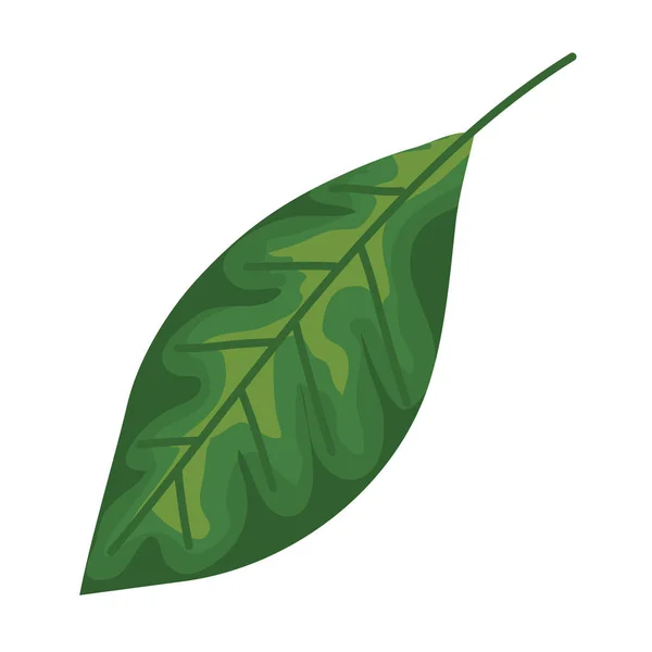 Ecología hoja planta naturaleza icono — Vector de stock