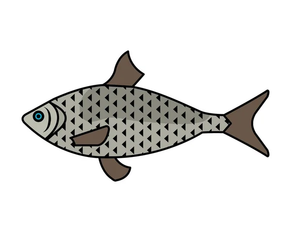 Sea fish animal icon vector illustration — Stock Vector