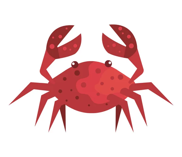 Crab marine animal isolated icon — Stock Vector